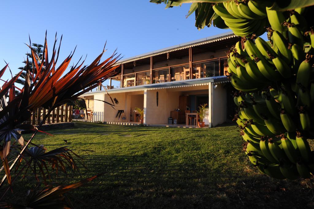 Leu Bleu Austral Saint-Leu Exterior foto